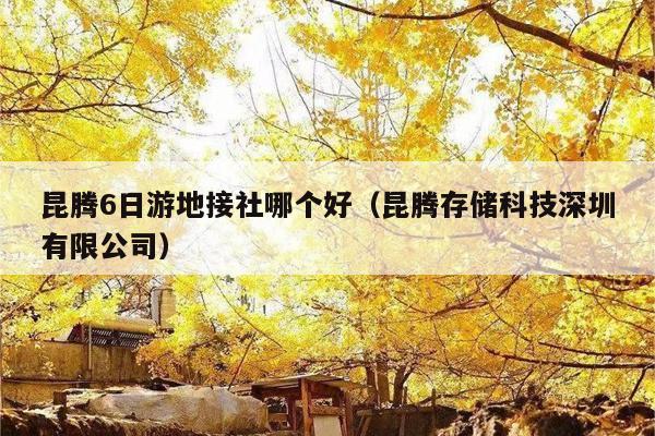 昆腾6日游地接社哪个好（昆腾存储科技深圳有限公司）