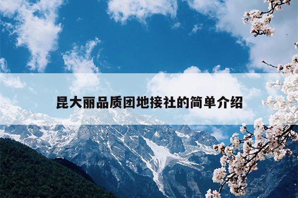昆大丽品质团地接社的简单介绍