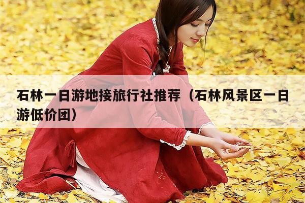 石林一日游地接旅行社推荐（石林风景区一日游低价团）