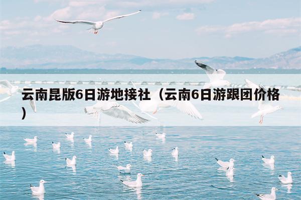 云南昆版6日游地接社（云南6日游跟团价格）