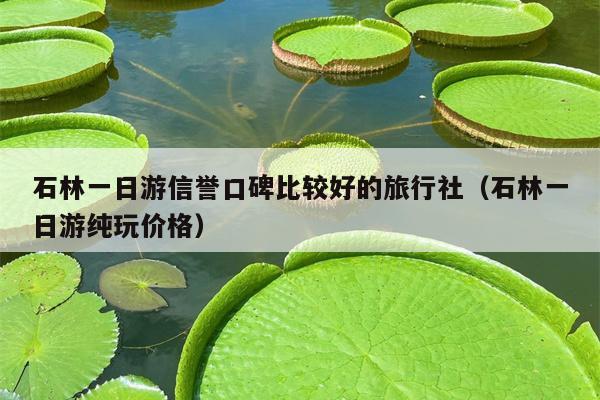 石林一日游信誉口碑比较好的旅行社（石林一日游纯玩价格）