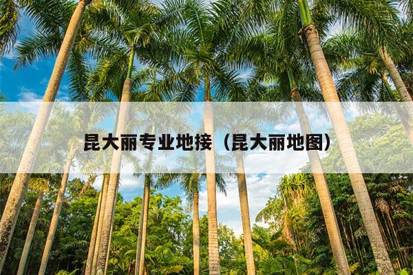 昆大丽专业地接（昆大丽地图）