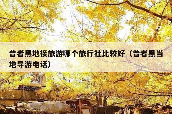 普者黑地接旅游哪个旅行社比较好（普者黑当地导游电话）