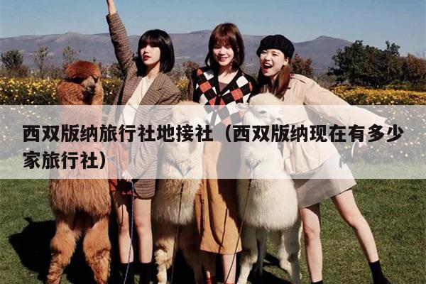 西双版纳旅行社地接社（西双版纳现在有多少家旅行社）