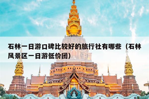 石林一日游口碑比较好的旅行社有哪些（石林风景区一日游低价团）