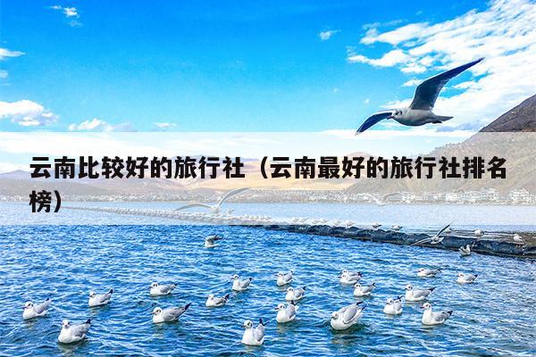 云南比较好的旅行社（云南最好的旅行社排名榜）