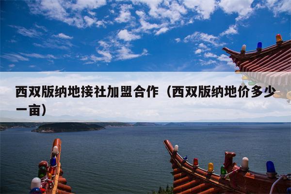 西双版纳地接社加盟合作（西双版纳地价多少一亩）