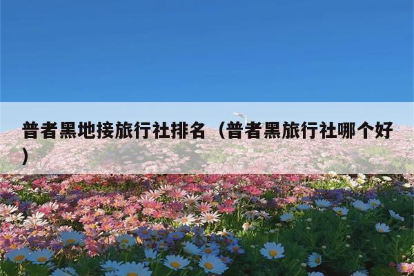 普者黑地接旅行社排名（普者黑旅行社哪个好）