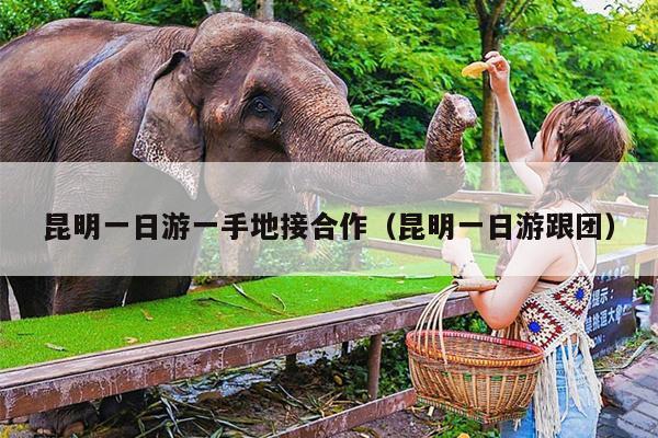 昆明一日游一手地接合作（昆明一日游跟团）