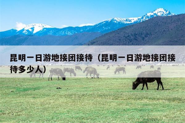 昆明一日游地接团接待（昆明一日游地接团接待多少人）