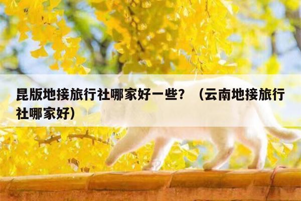 昆版地接旅行社哪家好一些？（云南地接旅行社哪家好）