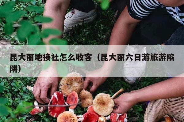 昆大丽地接社怎么收客（昆大丽六日游旅游陷阱）