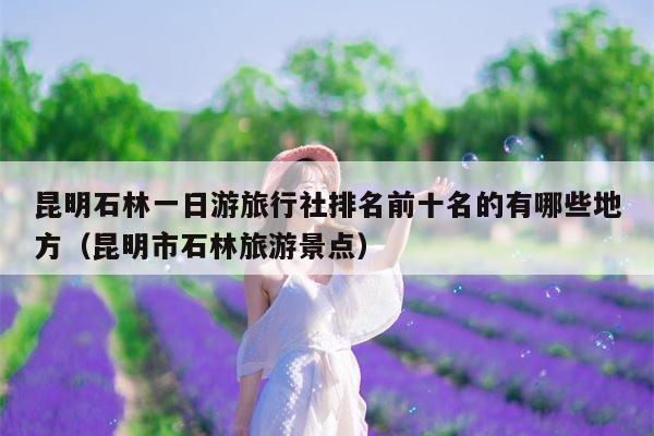 昆明石林一日游旅行社排名前十名的有哪些地方（昆明市石林旅游景点）