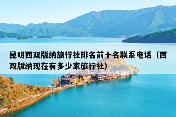 昆明西双版纳旅行社排名前十名联系电话（西双版纳现在有多少家旅行社）