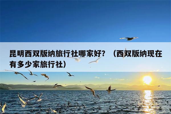 昆明西双版纳旅行社哪家好？（西双版纳现在有多少家旅行社）