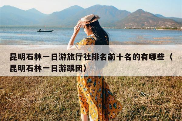 昆明石林一日游旅行社排名前十名的有哪些（昆明石林一日游跟团）