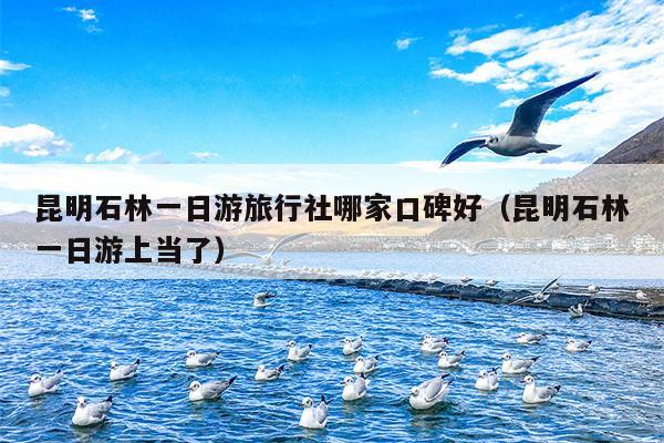昆明石林一日游旅行社哪家口碑好（昆明石林一日游上当了）