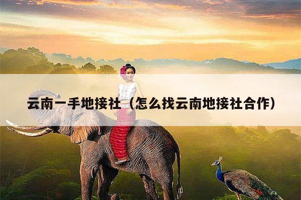 云南一手地接社（怎么找云南地接社合作）