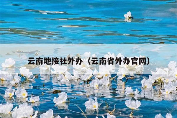 云南地接社外办（云南省外办官网）