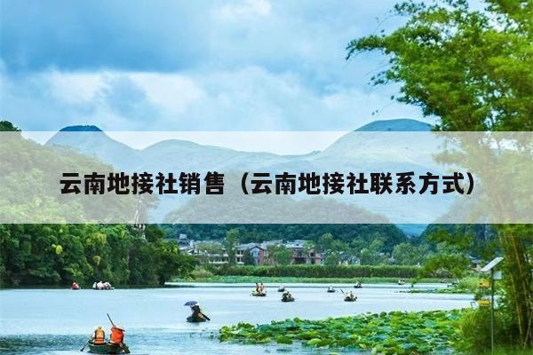 云南地接社销售(云南地接社联系方式)