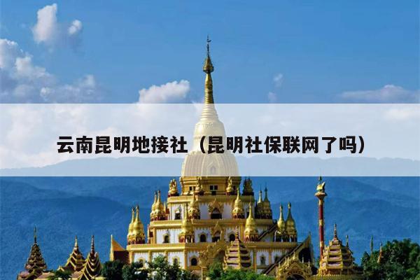 云南昆明地接社（昆明社保联网了吗）