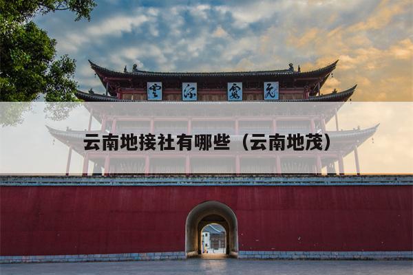 云南地接社有哪些(云南地茂)