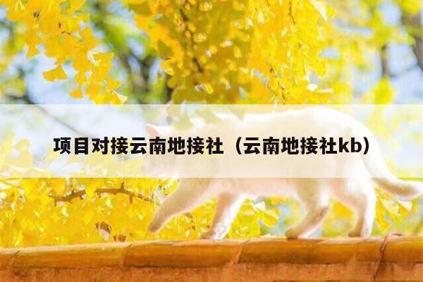 项目对接云南地接社（云南地接社kb）