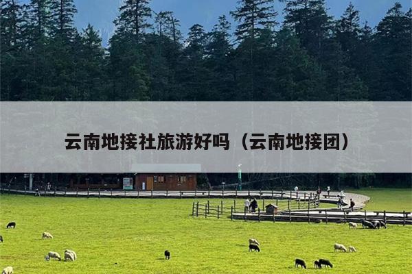 云南地接社旅游好吗(云南地接团)