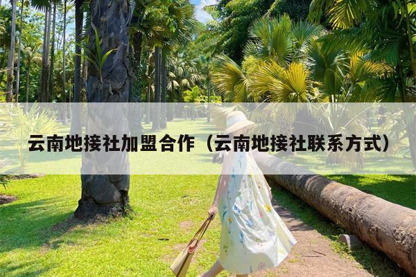 云南地接社加盟合作(云南地接社联系方式)