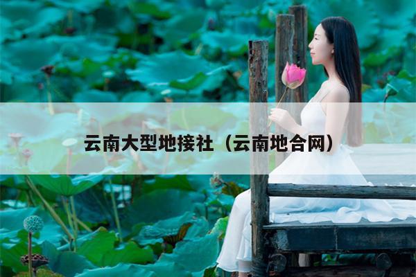 云南大型地接社（云南地合网）