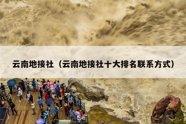 云南地接社（云南地接社十大排名联系方式）