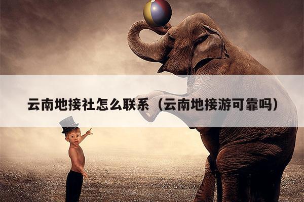 云南地接社怎么联系（云南地接游可靠吗）