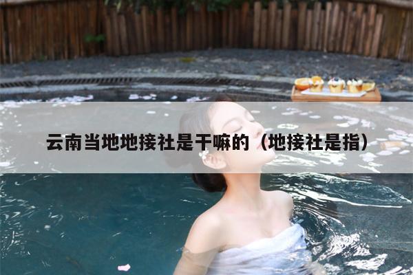 云南当地地接社是干嘛的（地接社是指）