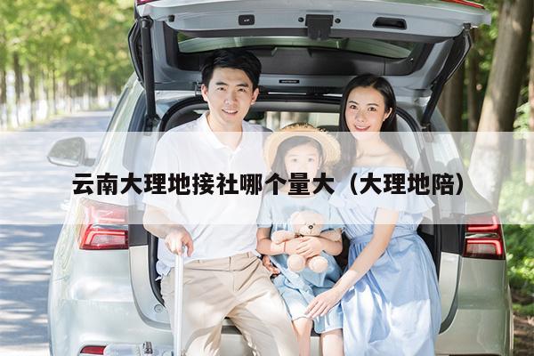云南大理地接社哪个量大（大理地陪）