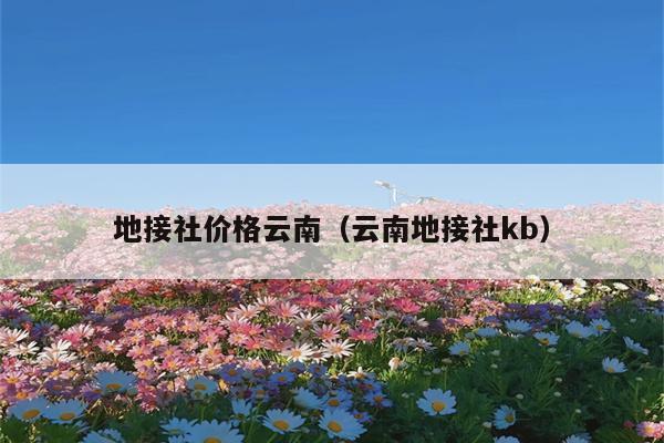 地接社价格云南（云南地接社kb）