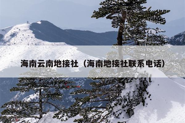 海南云南地接社(海南地接社联系电话)