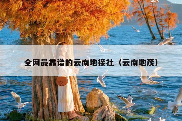 全网最靠谱的云南地接社(云南地茂)