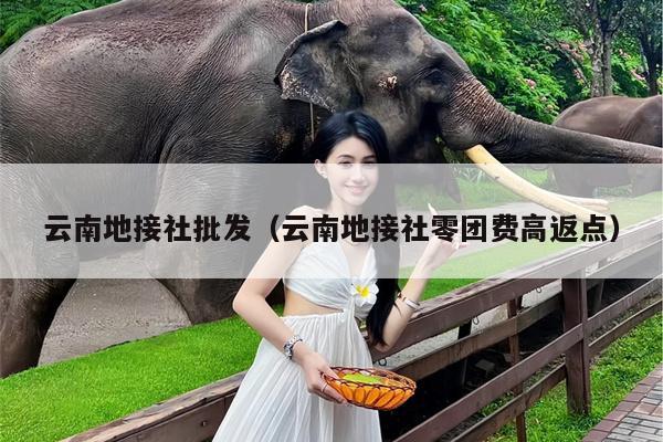 云南地接社批发（云南地接社零团费高返点）