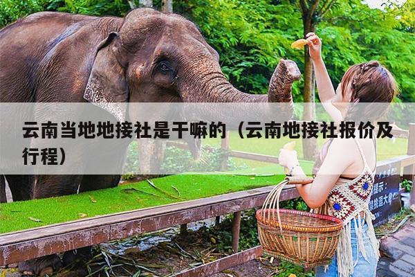 云南当地地接社是干嘛的（云南地接社报价及行程）