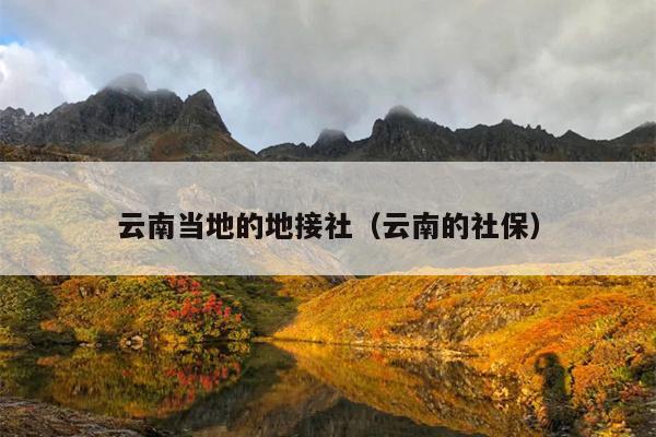 云南当地的地接社(云南的社保)