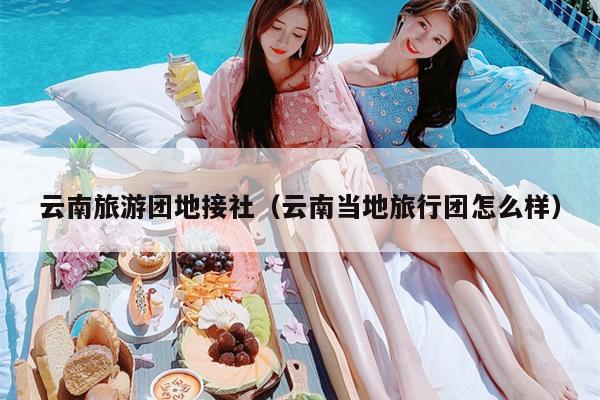 云南旅游团地接社(云南当地旅行团怎么样)