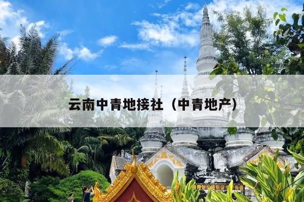 云南中青地接社（中青地产）