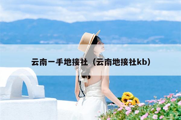 云南一手地接社(云南地接社kb)