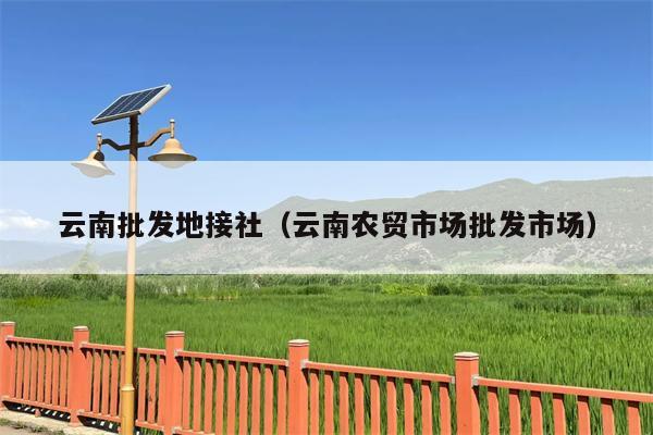 云南批发地接社（云南农贸市场批发市场）