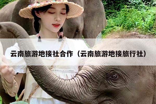 云南旅游地接社合作（云南旅游地接旅行社）
