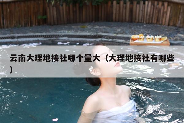 云南大理地接社哪个量大（大理地接社有哪些）