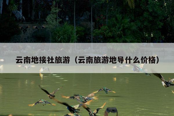 云南地接社旅游(云南旅游地导什么价格)