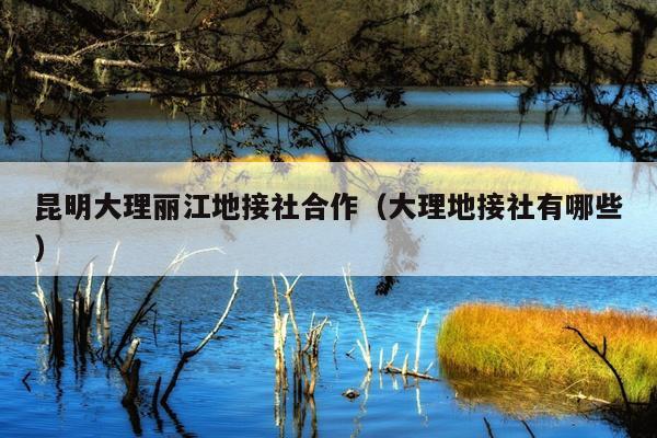 昆明大理丽江地接社合作（大理地接社有哪些）