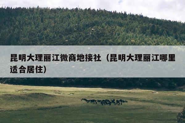 昆明大理丽江微商地接社（昆明大理丽江哪里适合居住）