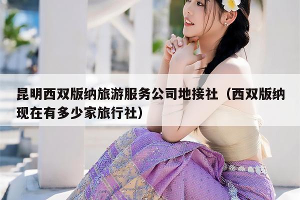 昆明西双版纳旅游服务公司地接社（西双版纳现在有多少家旅行社）